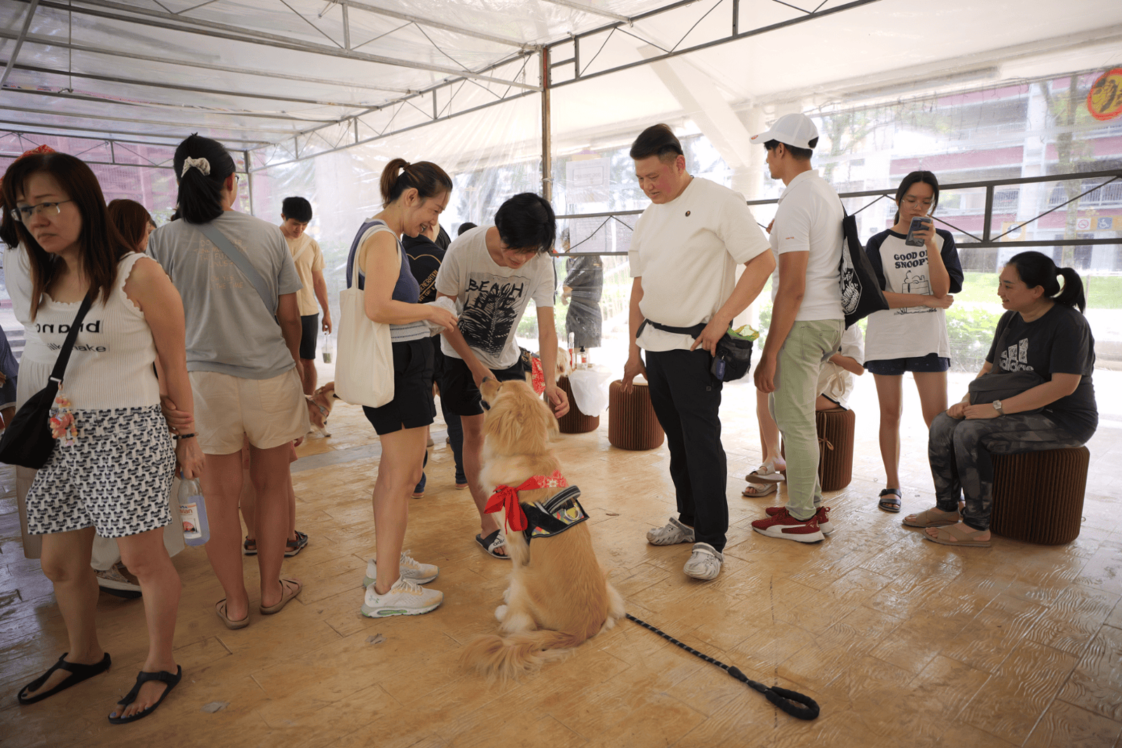 Paws At The Kampong with Yew Tee CC 2025